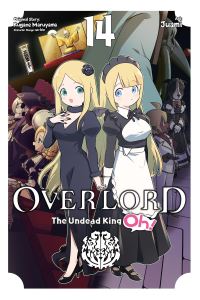 Book Cover for Overlord Vol. 14 by Kugane Maruyama