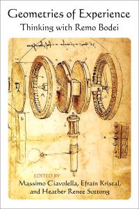 Book Cover for Geometries of Experience by Massimo Ciavolella, Efraín Kristal, Heather Sottong