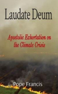 Book Cover for Laudate Deum by Pope Francis
