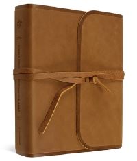 Book Cover for ESV Single Column Journaling Bible (Natural Leather, Brown, Flap With Strap) by Esv Bibles