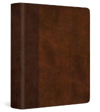 Book Cover for ESV Journaling Bible (Trutone, Brown/Tan, Timeless Design) by Esv Bibles
