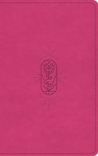 Book Cover for ESV Kid's Bible, Thinline, Red Letter by 