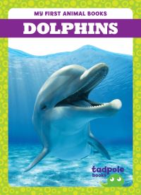Book Cover for Dolphins by Natalie Deniston