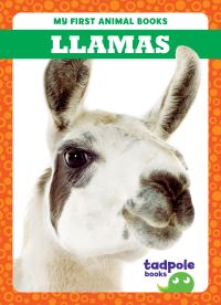 Book Cover for Llamas by Marie Brandle