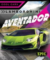 Book Cover for Lamborghini Aventador by Kaitlyn Duling