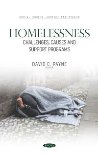 Book Cover for Homelessness by David C Payne