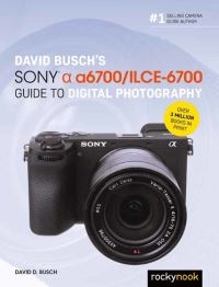 Book Cover for David Busch's Sony Alpha A6700/ILCE-6700 Guide to Digital Photography by David Busch