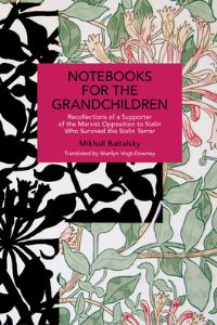 Book Cover for Notebooks for the Grandchildren by Mikhail Baitalsky