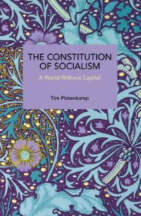 Book Cover for The Constitution of Socialism by Tim Platenkamp