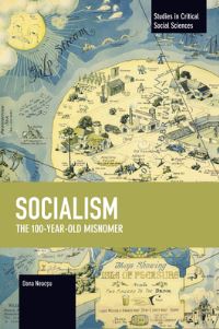 Book Cover for Socialism by Dana Neacsu