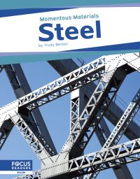 Book Cover for Steel by Trudy Becker