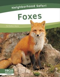 Book Cover for Foxes by Dalton Rains