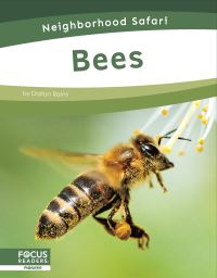 Book Cover for Bees. Paperback by Dalton Rains
