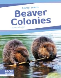 Book Cover for Beaver Colonies. Paperback by Laura Perdew