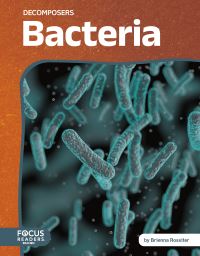 Book Cover for Bacteria by Brienna Rossiter