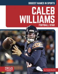 Book Cover for Caleb Williams by Charlie Beattie