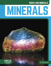Book Cover for Minerals. Hardcover by Trudy Becker