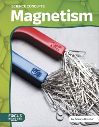 Book Cover for Magnetism. Paperback by Brienna Rossiter