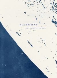 Book Cover for Ala Ebtekar by Alexander Nemerov, Kim Beil, Ladan Akbarnia