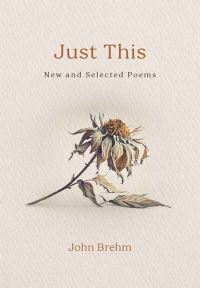 Book Cover for Just This by John Brehm