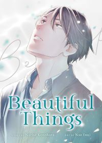 Book Cover for Beautiful Things by Narise Konohara