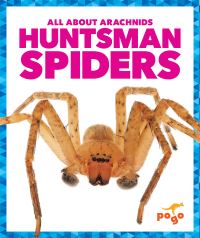 Book Cover for Huntsman Spiders by Jenna Lee Gleisner
