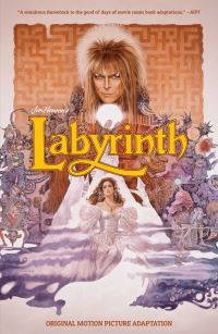Book Cover for Jim Henson's Labyrinth by Sidney Jacobson
