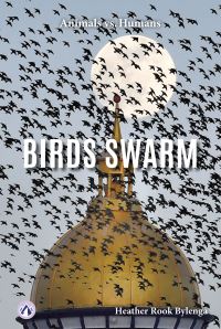 Book Cover for Birds Swarm by Heather Rook Bylenga
