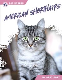 Book Cover for American Shorthairs by Abby Doty