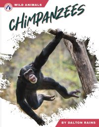 Book Cover for Chimpanzees. Hardcover by Dalton Rains