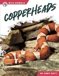 Book Cover for Copperheads. Hardcover by Abby Doty