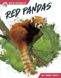 Book Cover for Red Pandas. Hardcover by Abby Doty