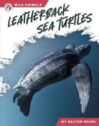 Book Cover for Leatherback Sea Turtles. Paperback by Abby Doty
