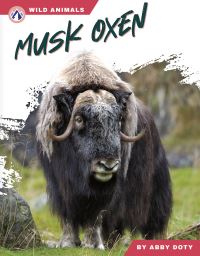 Book Cover for Musk Oxen. Paperback by Abby Doty