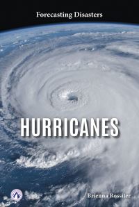 Book Cover for Hurricanes. Hardcover by Brienna Rossiter