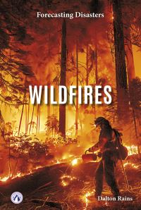 Book Cover for Wildfires. Hardcover by Dalton Rains