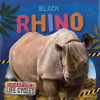 Book Cover for Black Rhino. Paperback by EC Andrews