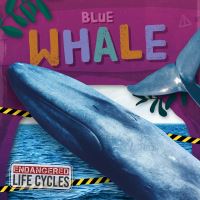Book Cover for Blue Whale. Paperback by EC Andrews