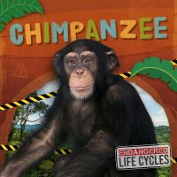 Book Cover for Chimpanzee. Paperback by EC Andrews
