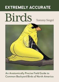 Book Cover for Extremely Accurate Birds by Tommy Siegel