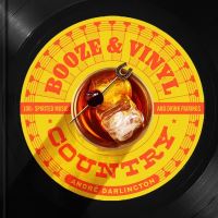 Book Cover for Booze & Vinyl Country by André Darlington