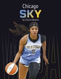 Book Cover for Chicago Sky. Paperback by Charlie Beattie
