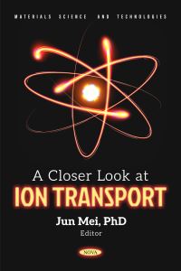 Book Cover for A Closer Look at Ion Transport by Jun Mei