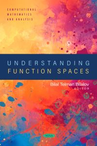 Book Cover for Understanding Function Spaces by Bilal Telman Bilalov