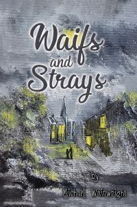 Book Cover for Waifs and Strays by Michael Wainwright