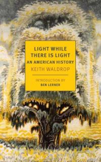 Book Cover for Light While There Is Light by Keith Waldrop