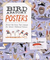 Book Cover for Bird Anatomy Posters by Julia Rothman