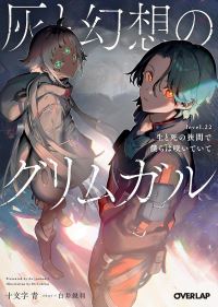 Book Cover for Grimgar of Fantasy and Ash (Light Novel) Vol. 22 by Ao Jyumonji