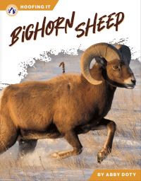 Book Cover for Bighorn Sheep by Abby Doty