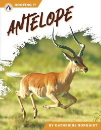 Book Cover for Antelope by Katherine Norquist